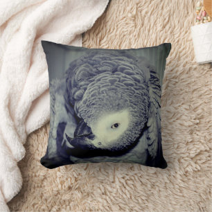 African Grey Parrot Cute Bird 2 Cushion