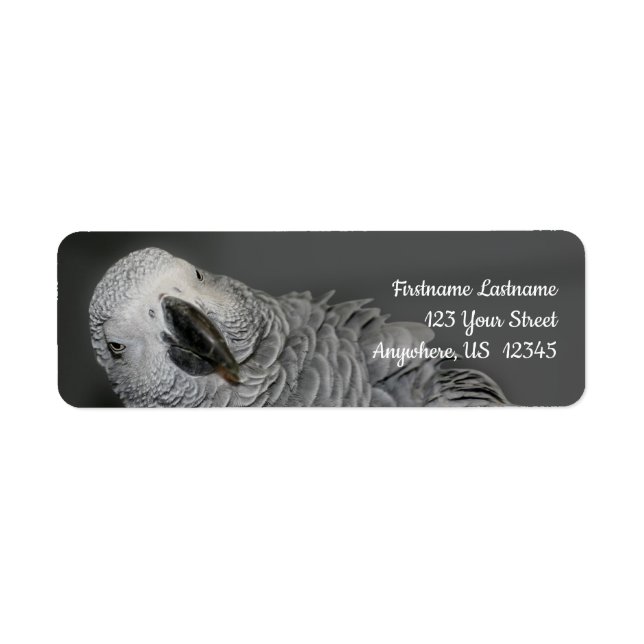 African Grey Parrot Cute Bird Address (Front)