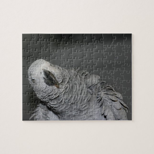 African Grey Parrot Cute Bird  Jigsaw Puzzle (Horizontal)