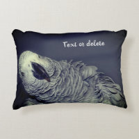 African Grey Parrot Cute Bird Personalised
