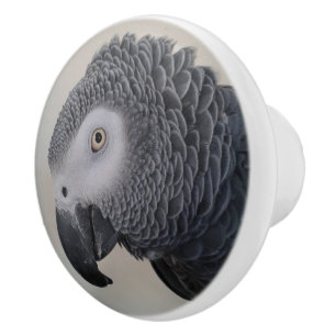 African Grey Parrot Dresser Knobs