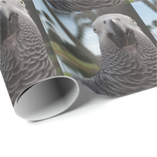 African Grey Parrot Face Close-Up Wrapping Paper