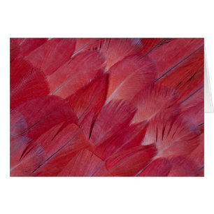 African Grey Parrot Feather Design