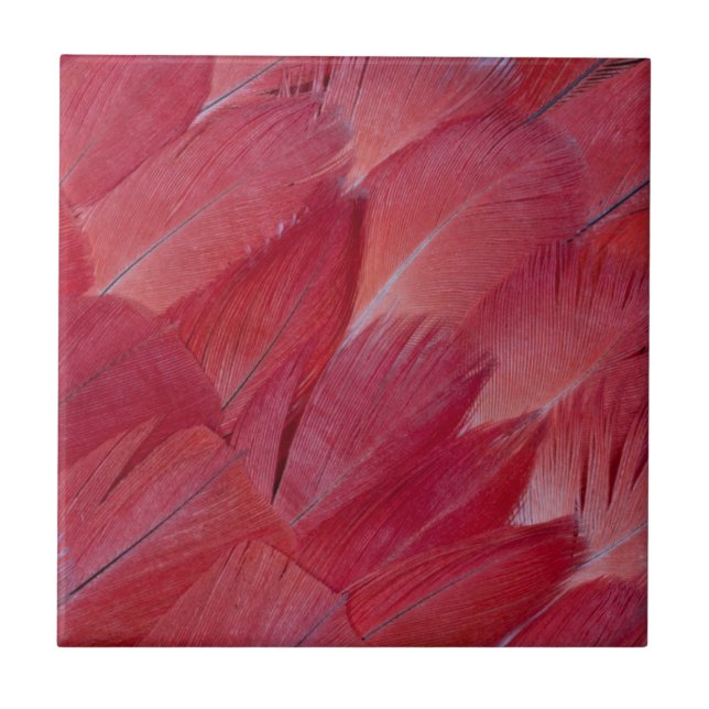 African Grey Parrot Feather Design Tile (Front)