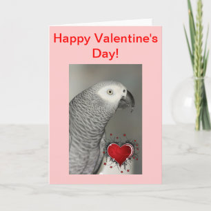 African Grey Parrot Happy Valentine's Day Card