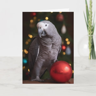 African Grey Parrot Holiday Cards 