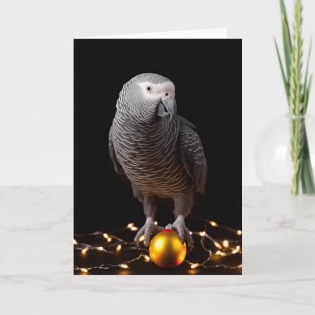 African Grey Parrot Holiday Cards  (Front)