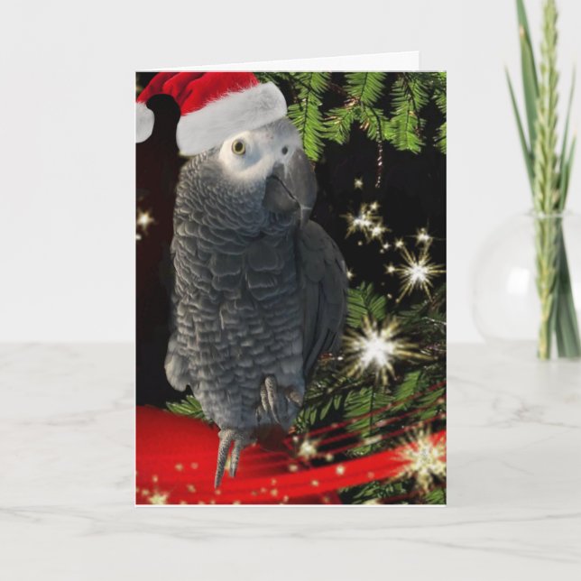 African Grey Parrot Holiday Season Card (Front)