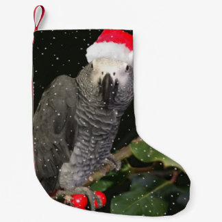 African Grey Parrot Holiday Stocking
