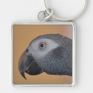 African Grey Parrot Key Chain