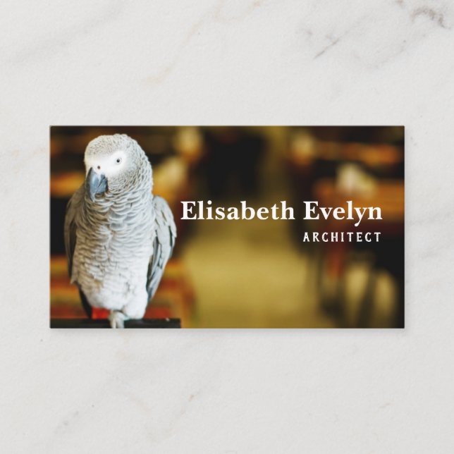 African grey parrot or congo african business card (Front)