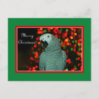 African Grey Parrot Painting with Christmas Tree