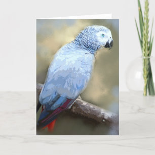 African Grey Parrot Portrait Cards