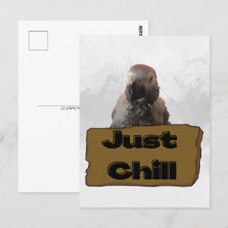 African grey parrot, Postcrossing Postcard