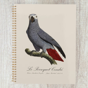 African grey parrot, Psittacus erithacus, vintage Planner