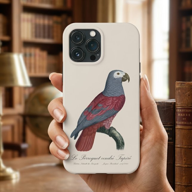 African Grey Parrot Red Factor Psittacus Erithacus Case-Mate iPhone Case (African Grey Parrot Red Factor Psittacus Erithacus. iPhone Case)