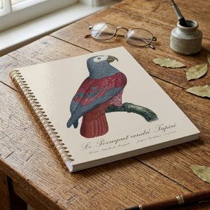 African Grey Parrot Red Factor Psittacus Erithacus Planner