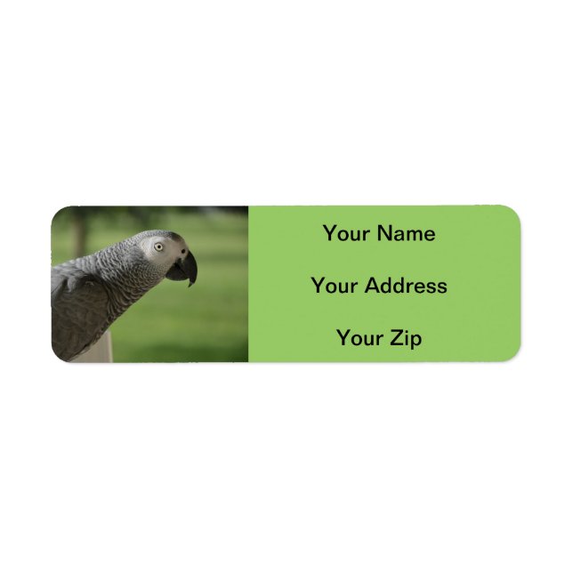 African Grey Parrot Return Address Labels (Front)