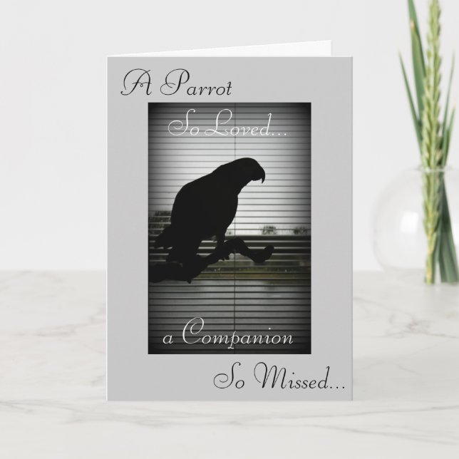 African Grey Parrot Silhouette Sympathy Card (Front)