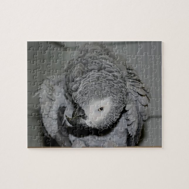 African Grey Parrot Silly Bird Jigsaw Puzzle (Horizontal)