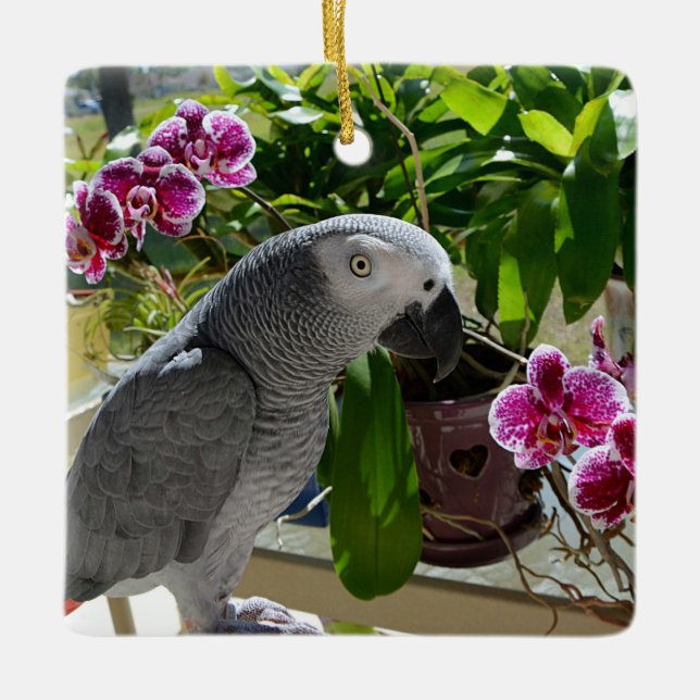 African Grey Parrot with Orchids Ceramic Tree Decoration (Front)