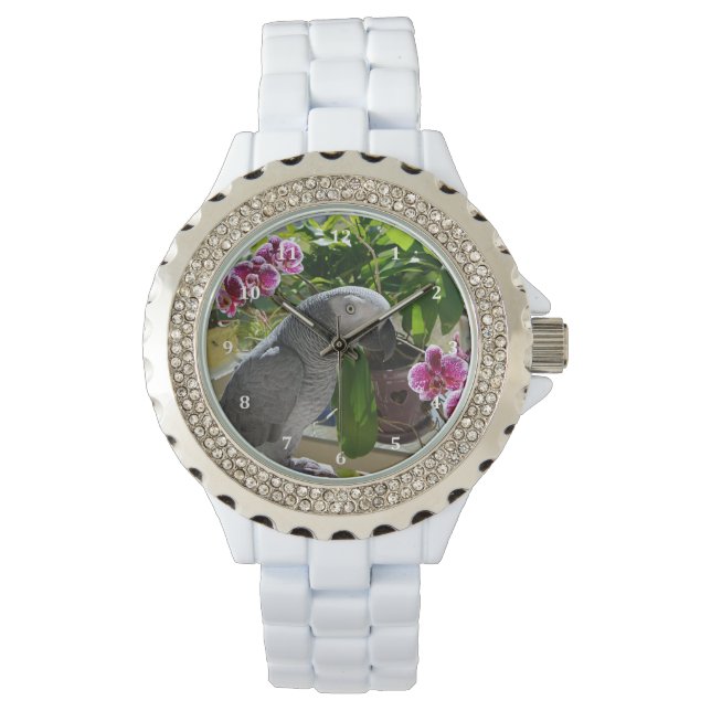 African Grey Parrot with Orchids Watch (Front)