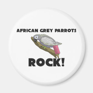 African Grey Parrots Rock Magnet