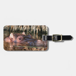 African hippo in water luggage tag