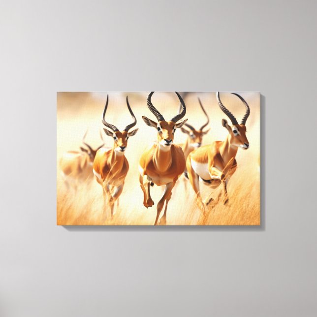 African Impala Canvas Art (Front)