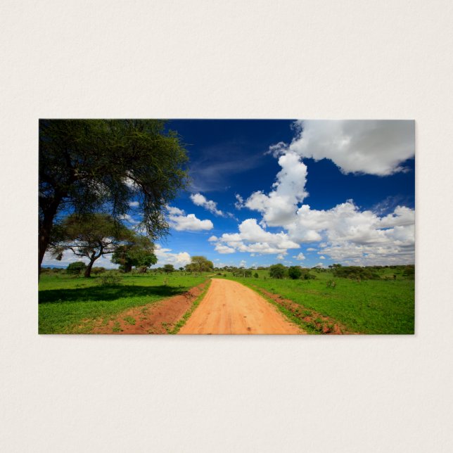 African landscape (Front)