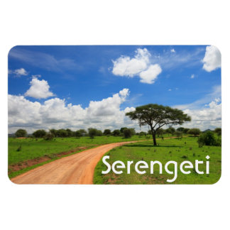 African landscape magnet