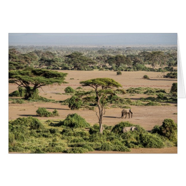 African Landscape with Elephant (Front Horizontal)