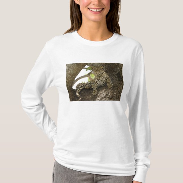 African Leopard, Panthera pardus T-Shirt (Front)