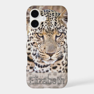African Leopard Personalised