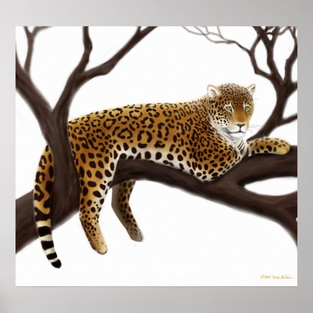 African Leopard Poster (Front)