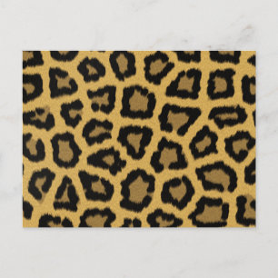 African Leopard Spots Postcard