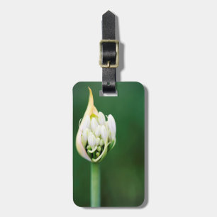 African Lily, Agapanthus Praecox, Cape Town Luggage Tag