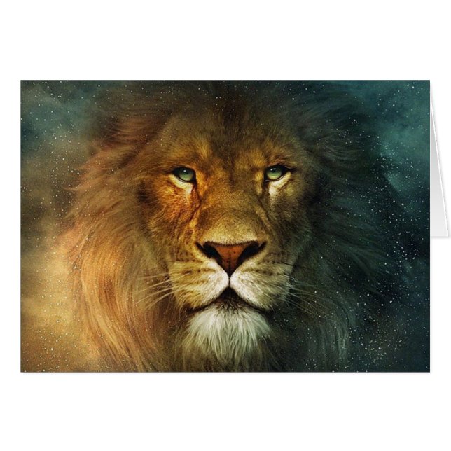 African Lion (Front Horizontal)