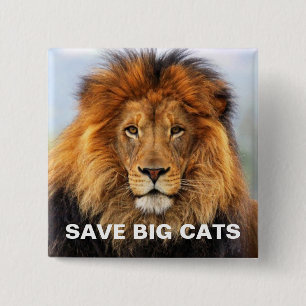 African Lion 1 15 Cm Square Badge