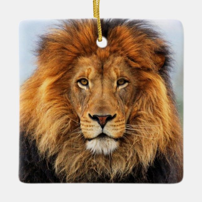 African Lion 1 Ceramic Tree Decoration (Front)