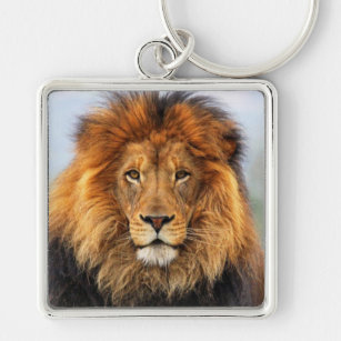 African Lion 1 Key Ring