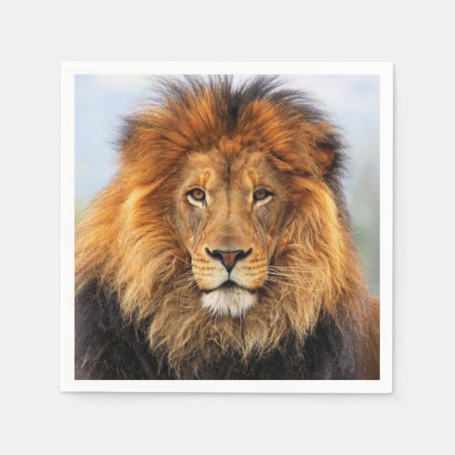 African Lion 1 Napkin (Front)