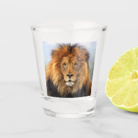 African Lion 1