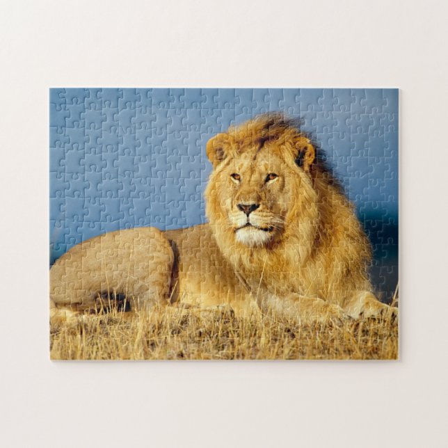 African Lion 2 Jigsaw Puzzle (Horizontal)