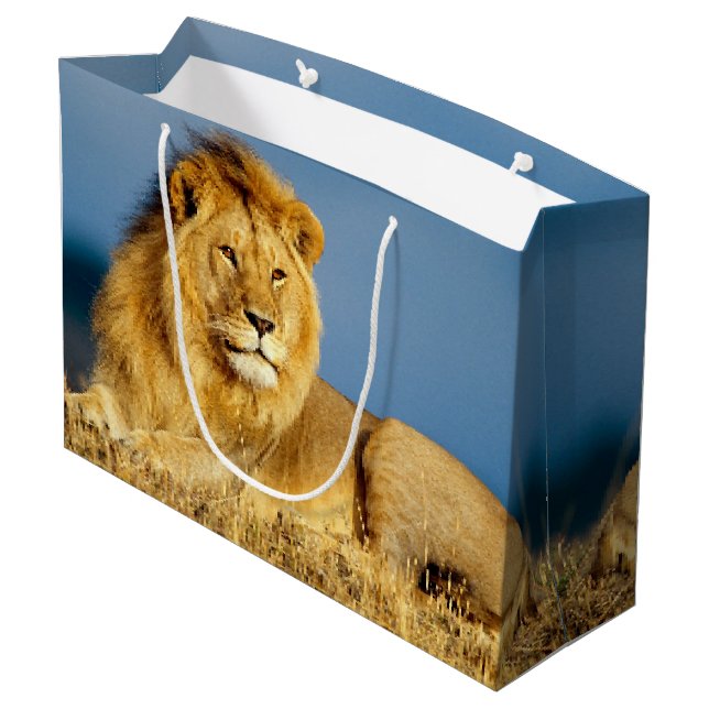 African Lion 2 Large Gift Bag (Back Angled)