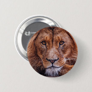 African Lion 6 Cm Round Badge