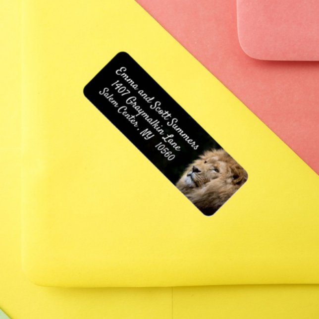 African Lion Animal Address Labels (Creator Uploaded)