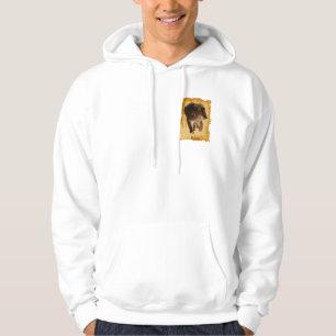 African Lion Beautiful Big Cat Wildlife Hoodie