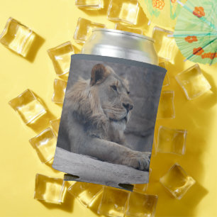 African Lion Can Cooler