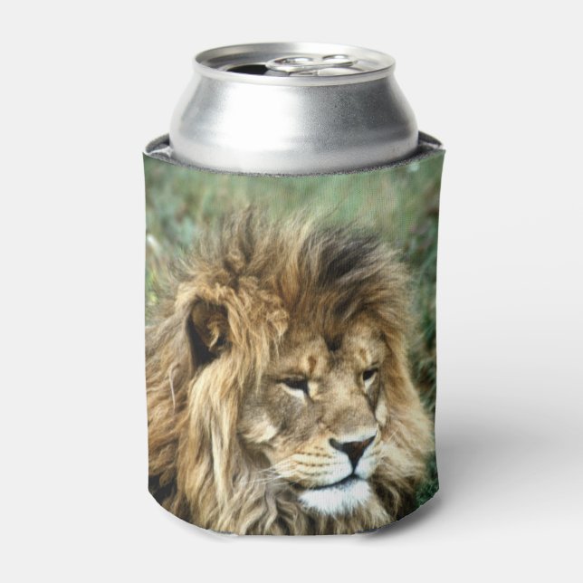 African lion can cooler (Can Front)